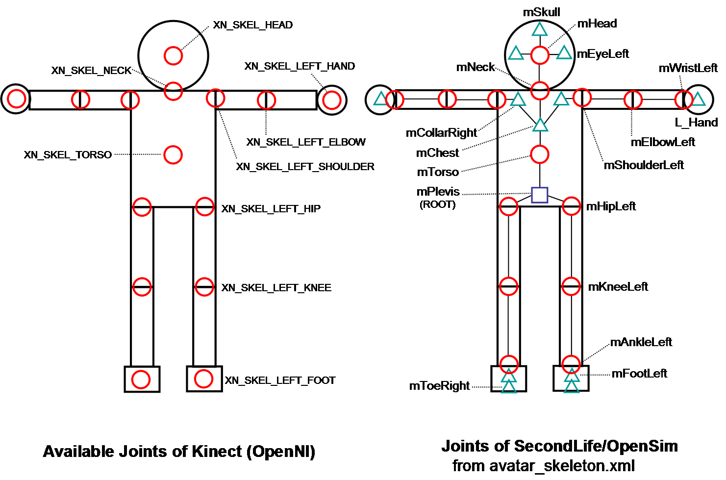 Joints_of_SL_and_Kinect.png